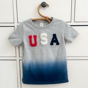 Gray and Blue Kids Shirt with USA Design